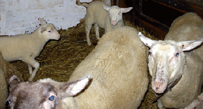 Oh, gibts da was zu fressen ?