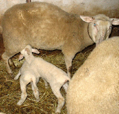 immer noch Hunger ?!