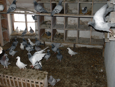 oooohhhhhhhhhh Fütterung ?