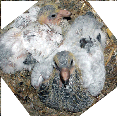 wart's ab, bald sind wir groß !