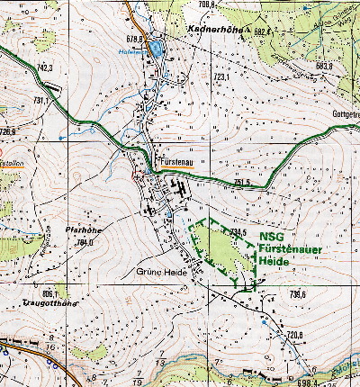 Übersichtskarte von Fürstenau / Sachsen