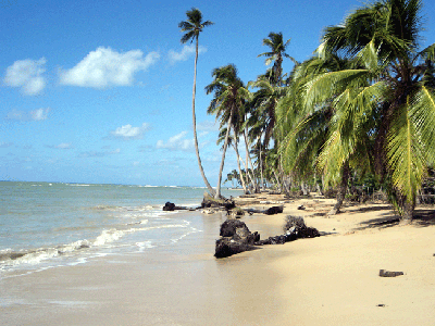 Strandidylle ohne Touris